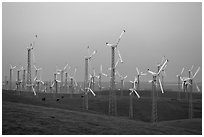 Altamont wind farm at dusk. California, USA (black and white)