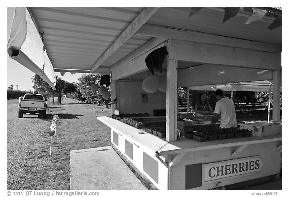 Fruit stand. California, USA (black and white)