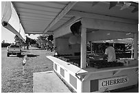 Fruit stand. California, USA (black and white)