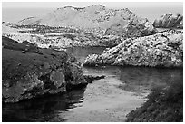 Fjord and rocks laden with birds. Point Lobos State Preserve, California, USA ( black and white)