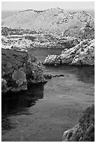 Rocks covered with seabirds. Point Lobos State Preserve, California, USA (black and white)