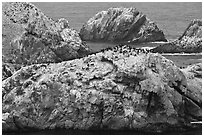 Bird island. Point Lobos State Preserve, California, USA (black and white)