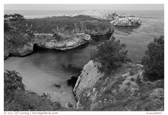 China Cove on cloudy day. Point Lobos State Preserve, California, USA (black and white)