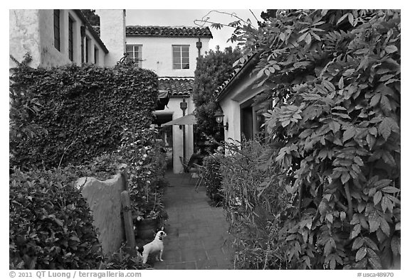 Alley. Carmel-by-the-Sea, California, USA