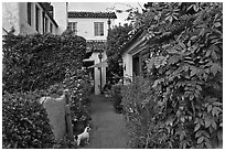 Alley. Carmel-by-the-Sea, California, USA (black and white)