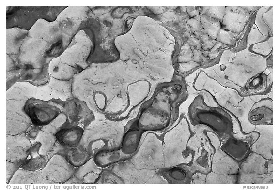 Eroded patterns in shale rocks. Point Lobos State Preserve, California, USA (black and white)