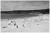 Carmel Beach in summer. Carmel-by-the-Sea, California, USA ( black and white)