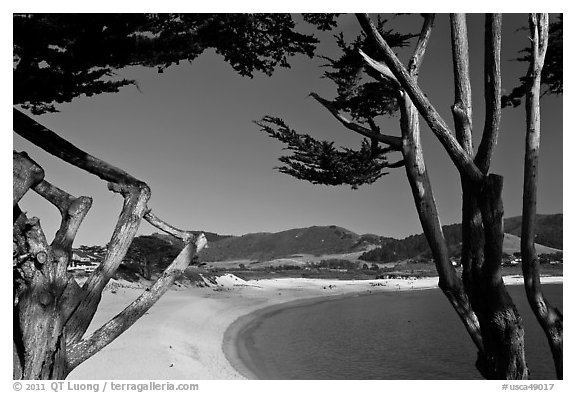 Carmel River Beach framed by Cypress trees. Carmel-by-the-Sea, California, USA