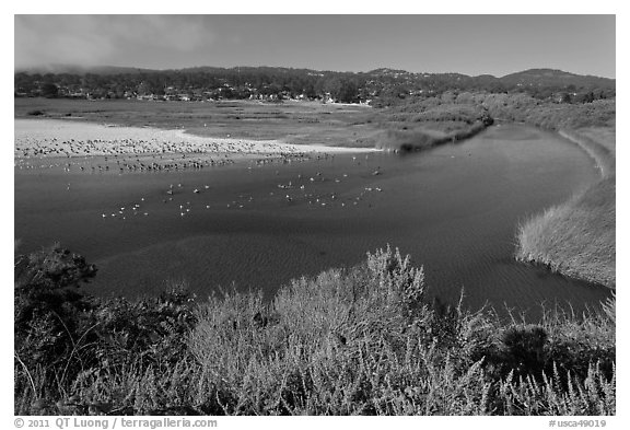 Marsh at the mouth of Carmel River. Carmel-by-the-Sea, California, USA (black and white)
