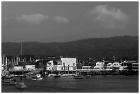 Fishermans wharf, Monterey harbor. Monterey, California, USA (black and white)