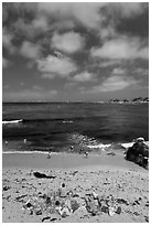 People sunning themselves on beach. Pacific Grove, California, USA (black and white)
