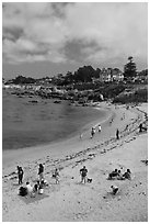 Beach, Lovers Point Park. Pacific Grove, California, USA ( black and white)