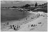 Picnic, Lover s Point Beach. Pacific Grove, California, USA (black and white)