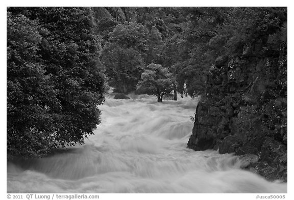 South Fork of the Kings River in spring run-off. Giant Sequoia National Monument, Sequoia National Forest, California, USA (black and white)