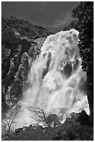 Grizzly Fall, Sequoia National Forest, Giant Sequoia National Monument near Kings Canyon National Park. California, USA (black and white)