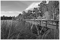 Pier and lake,  Vasona Lake County Park, Los Gatos. California, USA ( black and white)