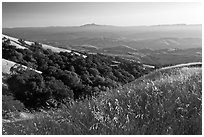 View from Evergreen Hills. San Jose, California, USA ( black and white)