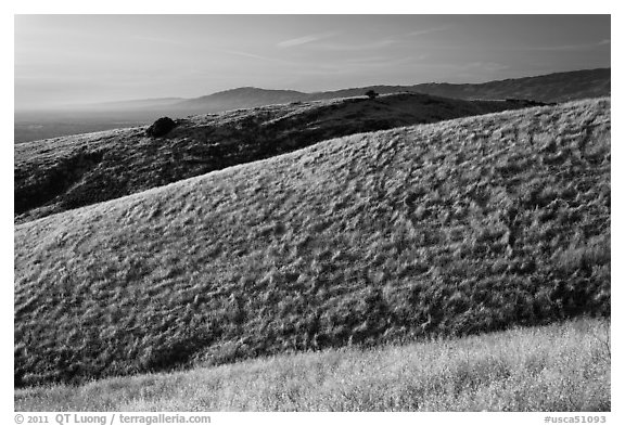 Hills, Santa Teresa County Park. California, USA (black and white)