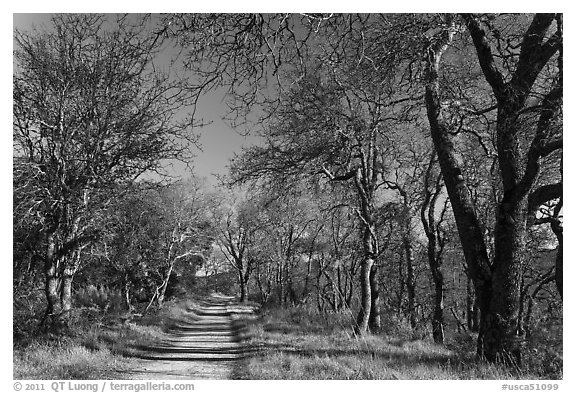 Trail, Almaden Quicksilver Park. San Jose, California, USA (black and white)
