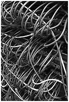 Computer cords. Menlo Park,  California, USA ( black and white)