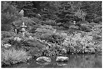 Pond and Japanese garden in autumn. Saragota,  California, USA ( black and white)