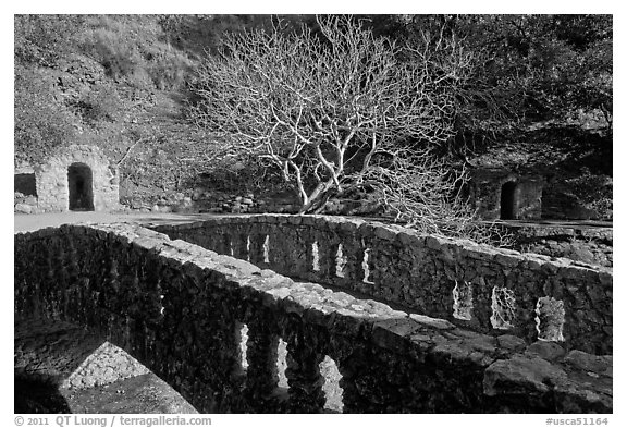 Stone bridge, tree, and grotto stonework, Alum Rock Park. San Jose, California, USA