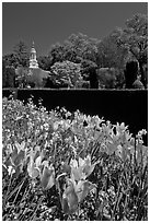 Flowers and garden shop, Filoli estate. Woodside,  California, USA ( black and white)