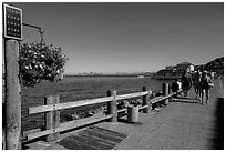 Waterfront promenade, Sausalito. California, USA ( black and white)