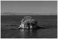 Rat Rock, China Camp State Park. San Pablo Bay, California, USA (black and white)