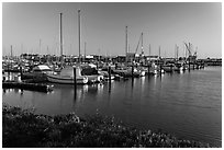 Harbor, Vallejo. San Pablo Bay, California, USA ( black and white)