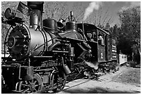 Steam train, Roaring Camp Railroads, Felton. California, USA ( black and white)