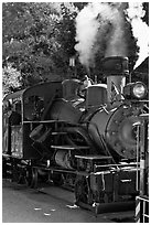 Steam locomotive, Roaring Camp Train, Felton. California, USA ( black and white)