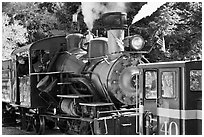 Roaring Camp and Big Trees Narrow-Gauge Railroad, Felton. California, USA (black and white)