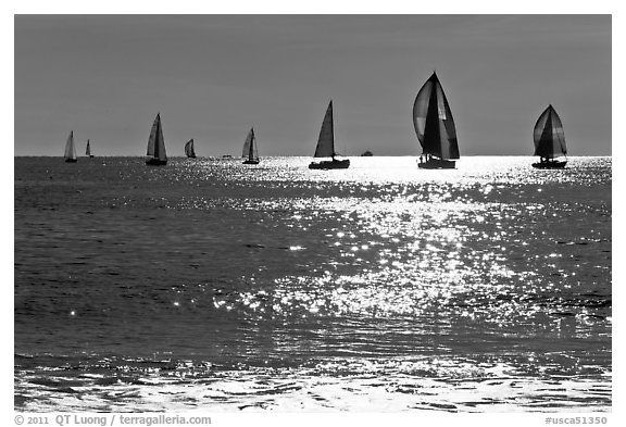Sailboats and glimmer. Santa Cruz, California, USA (black and white)