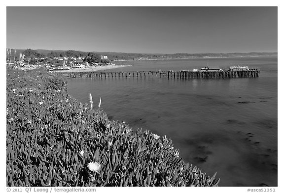 Iceplant-coverd buff and pier. Capitola, California, USA