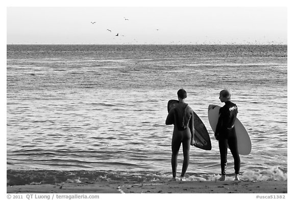 Surfers holding boards, open ocean, and birds. Santa Cruz, California, USA (black and white)