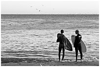 Surfers holding boards, open ocean, and birds. Santa Cruz, California, USA ( black and white)