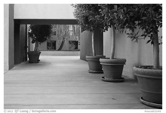 Schwab Residential Center, Stanford Graduate School of Business. Stanford University, California, USA (black and white)