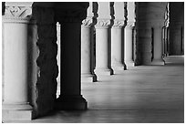 Columns in Main Quad. Stanford University, California, USA ( black and white)