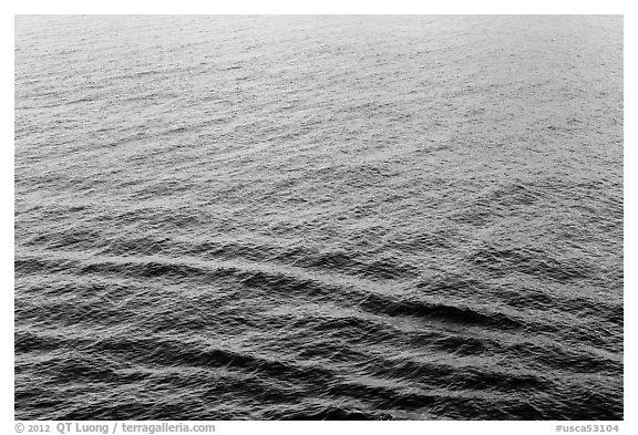 Ocean water with reflections, Catalina. California, USA (black and white)