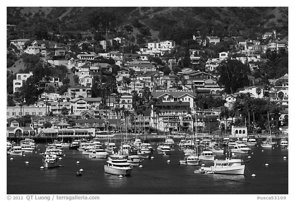 Harbor and houses on hillside, Avalon, Santa Catalina Island. California, USA (black and white)