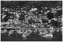 Harbor and houses on hillside, Avalon, Santa Catalina Island. California, USA ( black and white)