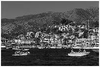 Avalon seen from harbor, Santa Catalina Island. California, USA ( black and white)