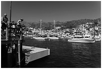 Fishing from Avalon pier, Santa Catalina Island. California, USA (black and white)