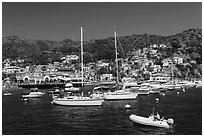 Avalon Bay harbor, Santa Catalina Island. California, USA (black and white)