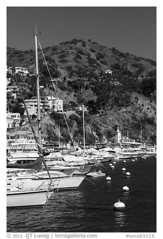 Yachts, Avalon harbor, Catalina Island. California, USA (black and white)