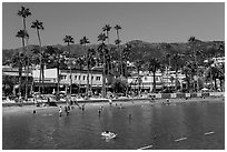 Avalon Bay beach, Santa Catalina Island. California, USA ( black and white)