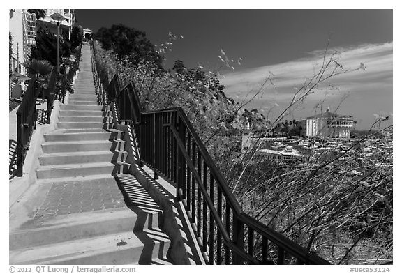 Stairs above harbor, Avalon Bay, Santa Catalina Island. California, USA