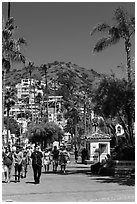 Street near waterfront, Avalon Bay, Santa Catalina Island. California, USA ( black and white)