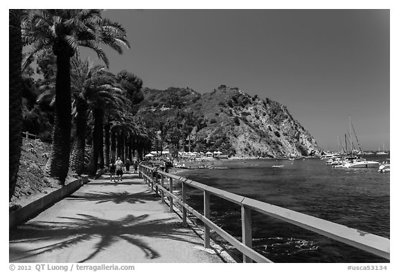 Waterfront promenenade, Avalon Bay, Catalina. California, USA (black and white)